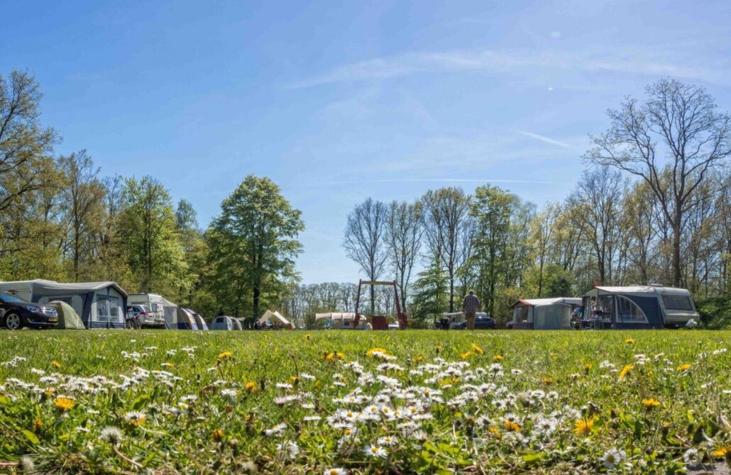 Kampeerplaatsen op Camping Nienoord in Leek Groningen voor tent of caravan